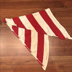 Burt's Bees Baby Dog Red and White Striped Bandana